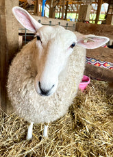 Learn to Spin on a Spindle